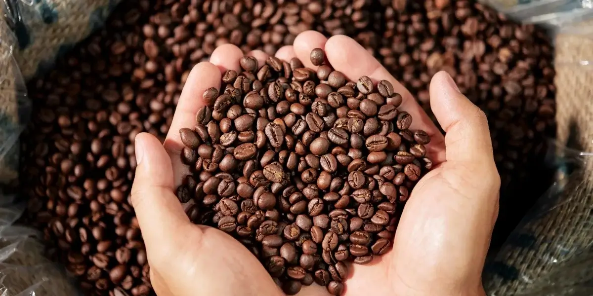 import-korean-coffee-to-india